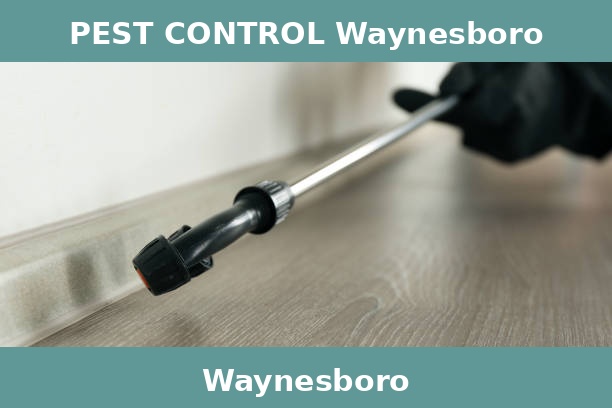 PEST CONTROL Waynesboro